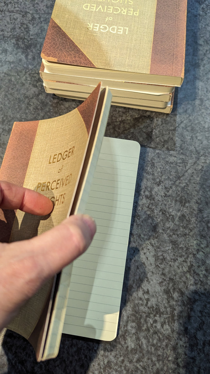 Ledger Of Perceived Slights Journal Framing Dames