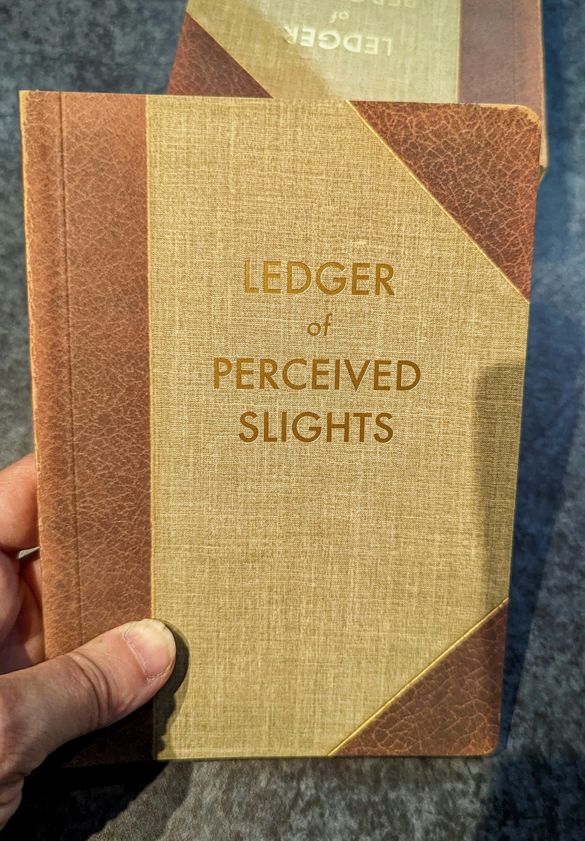 Ledger Of Perceived Slights Journal
