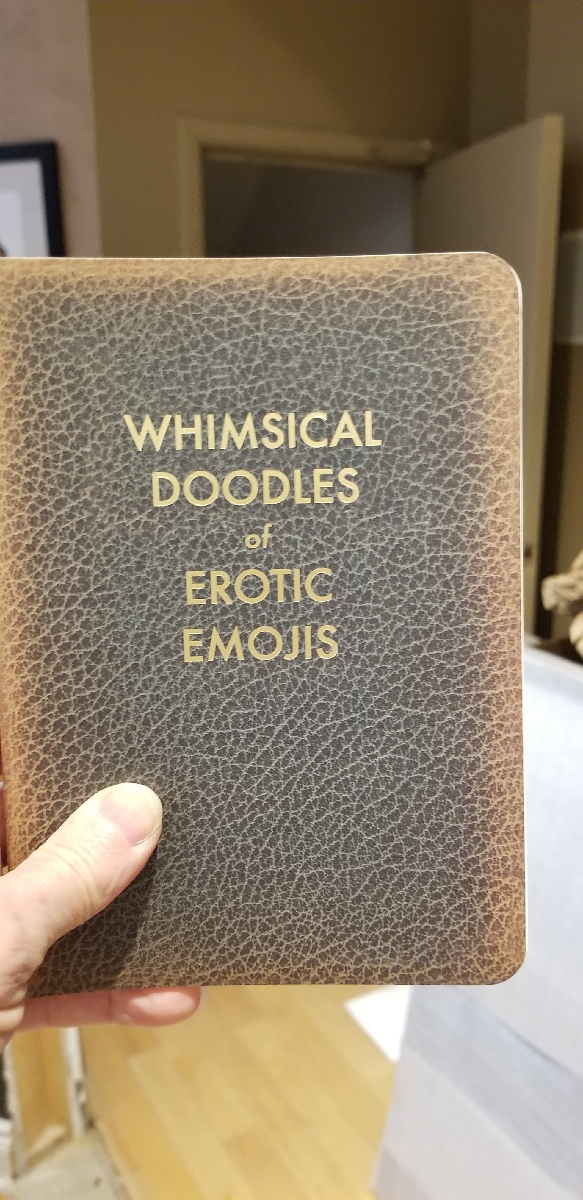Journals:  Whimsical Doodles Of Erotic Emojis