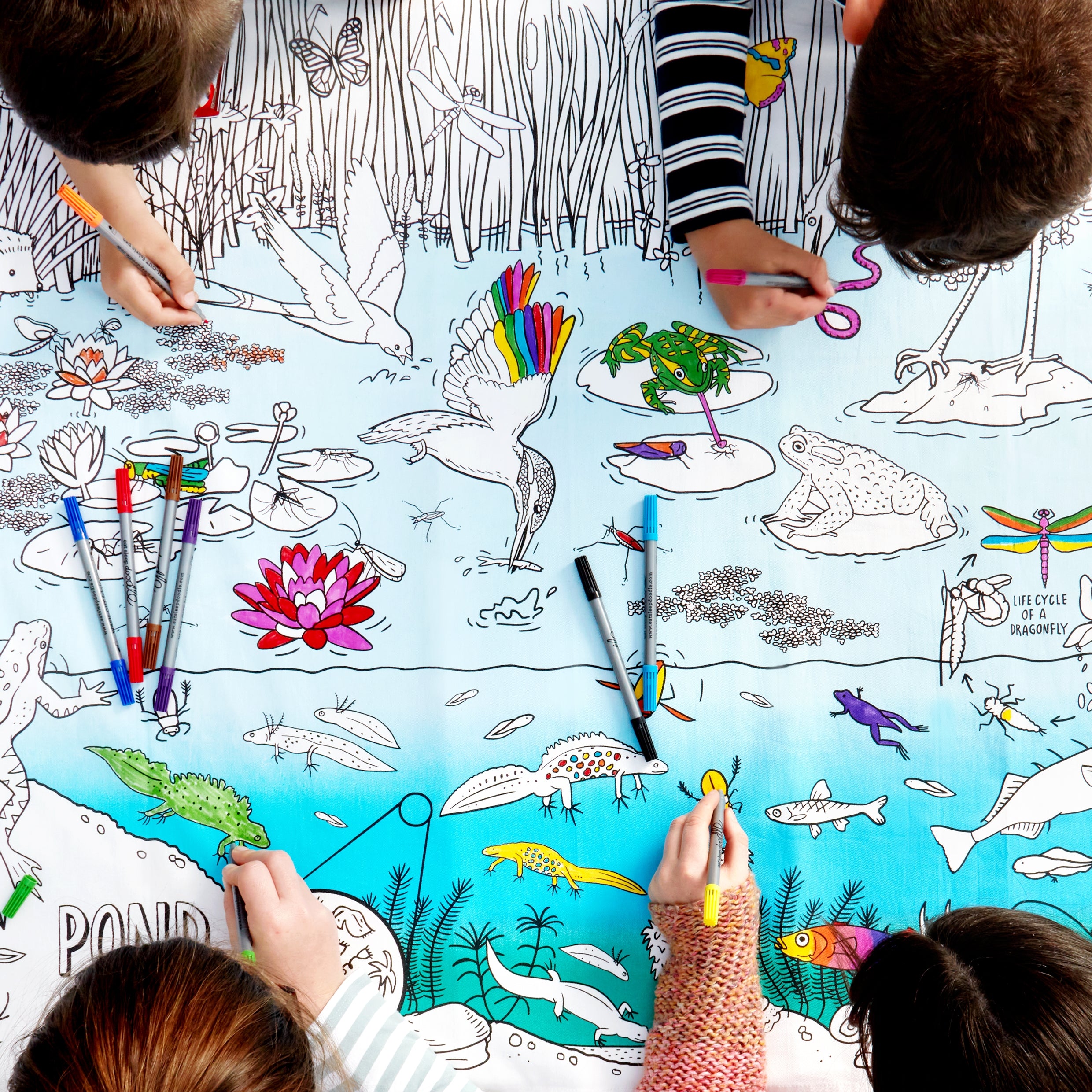 Pond Life Colouring Tablecloth