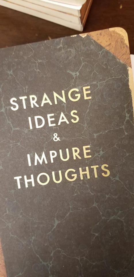 Strange Ideas And Impure Thoughts Journal